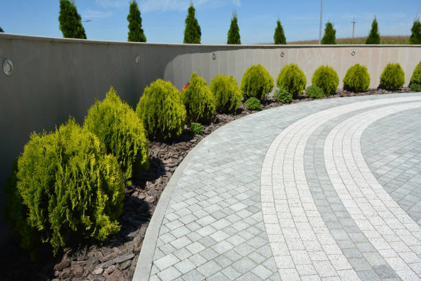 Best Commercial Driveway Pavers  in Litchfield, MI